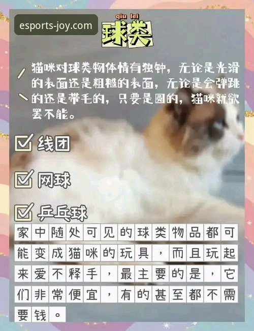 爱游戏体育最新版下载对比 从入门到精通:资深用户对比爱游戏体育最新版下载的实战心得